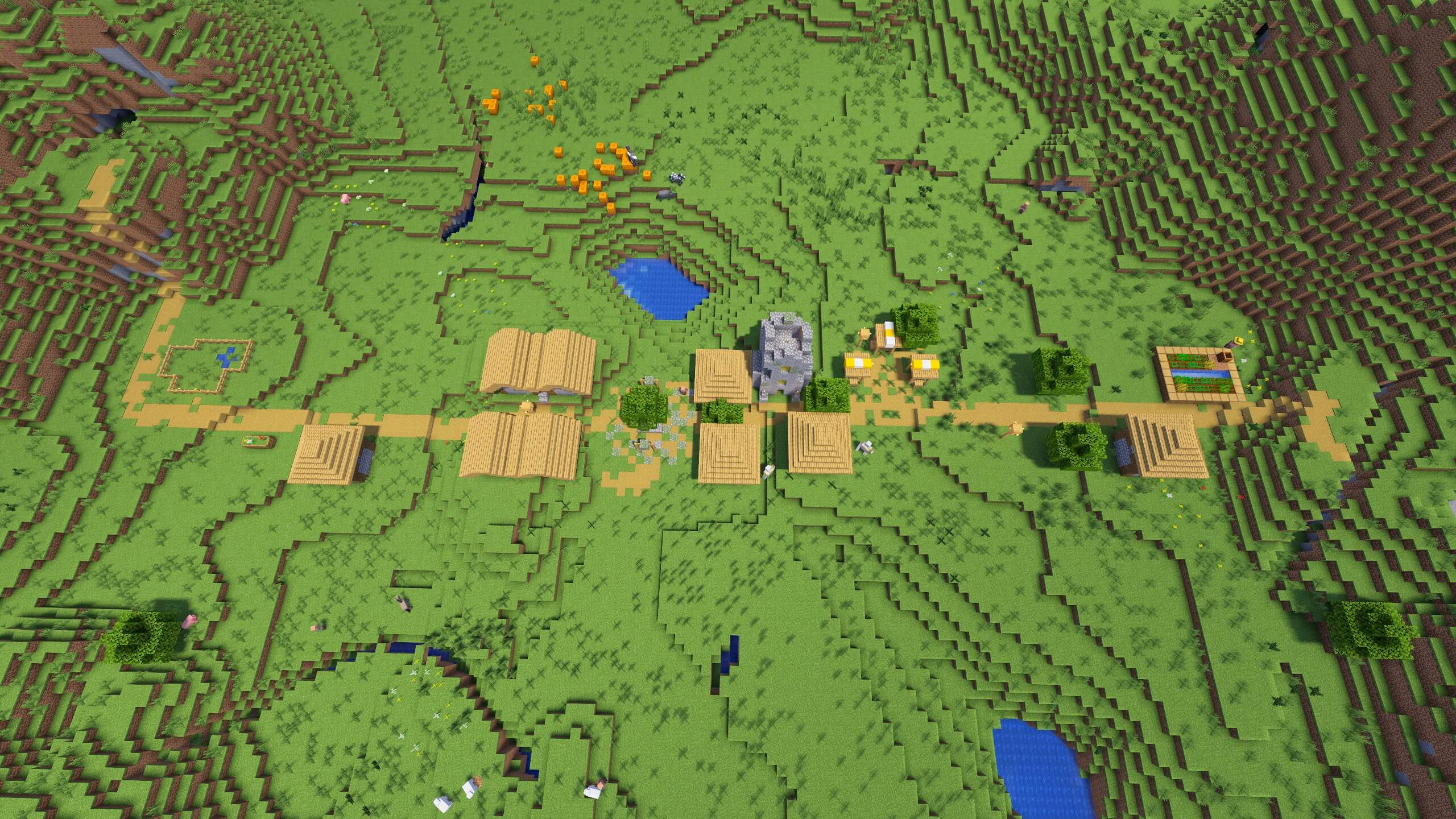 Seed 114: Single Path Village