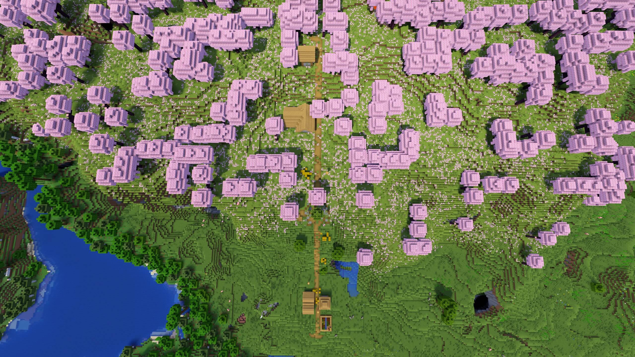 Seed 14: One Path Village