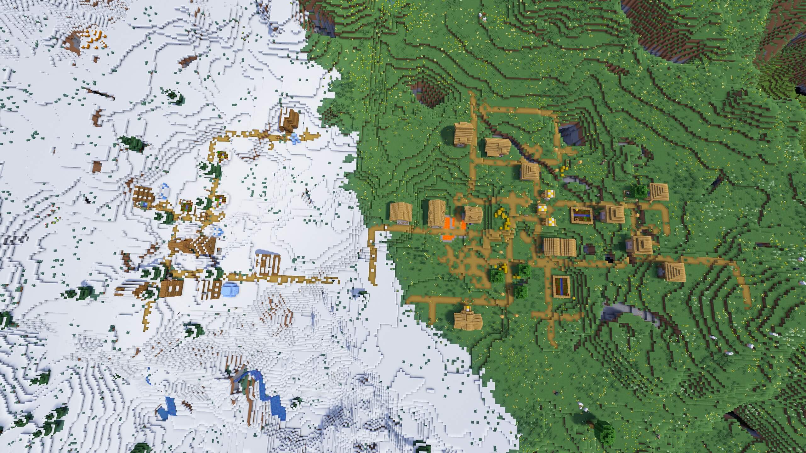 Seed 55: Cold Vs Warm